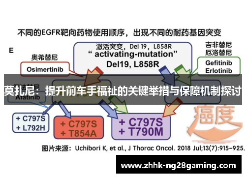 莫扎尼：提升前车手福祉的关键举措与保障机制探讨