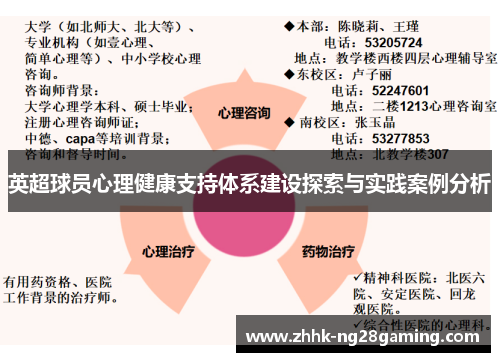 英超球员心理健康支持体系建设探索与实践案例分析